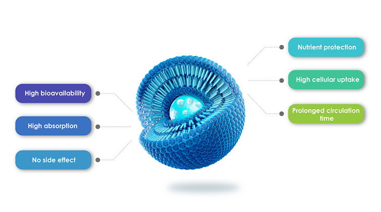 Ventajas DE LOS PRODUCTOS liposomales