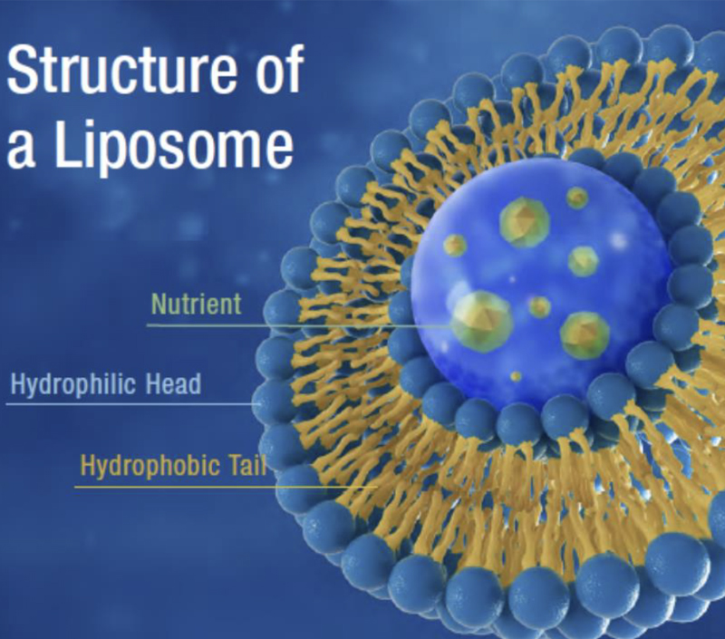 Estabilidad mejorada