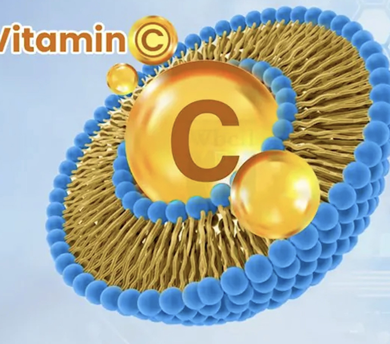 Estructura de encapsulación