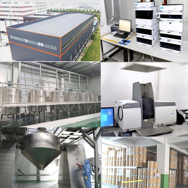 Perfil de la empresa