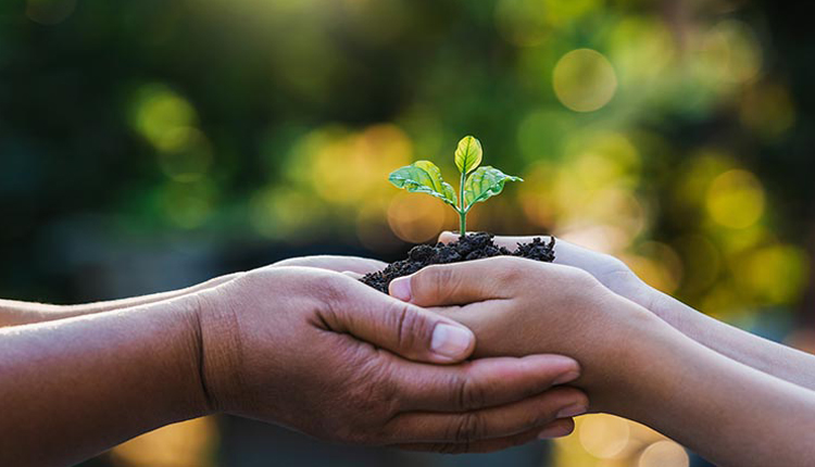 Acerca de la responsabilidad social nutricional alegre
