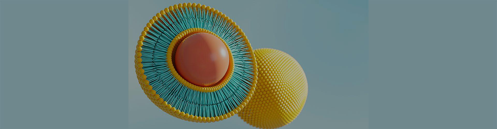 Preguntas frecuentes liposomales