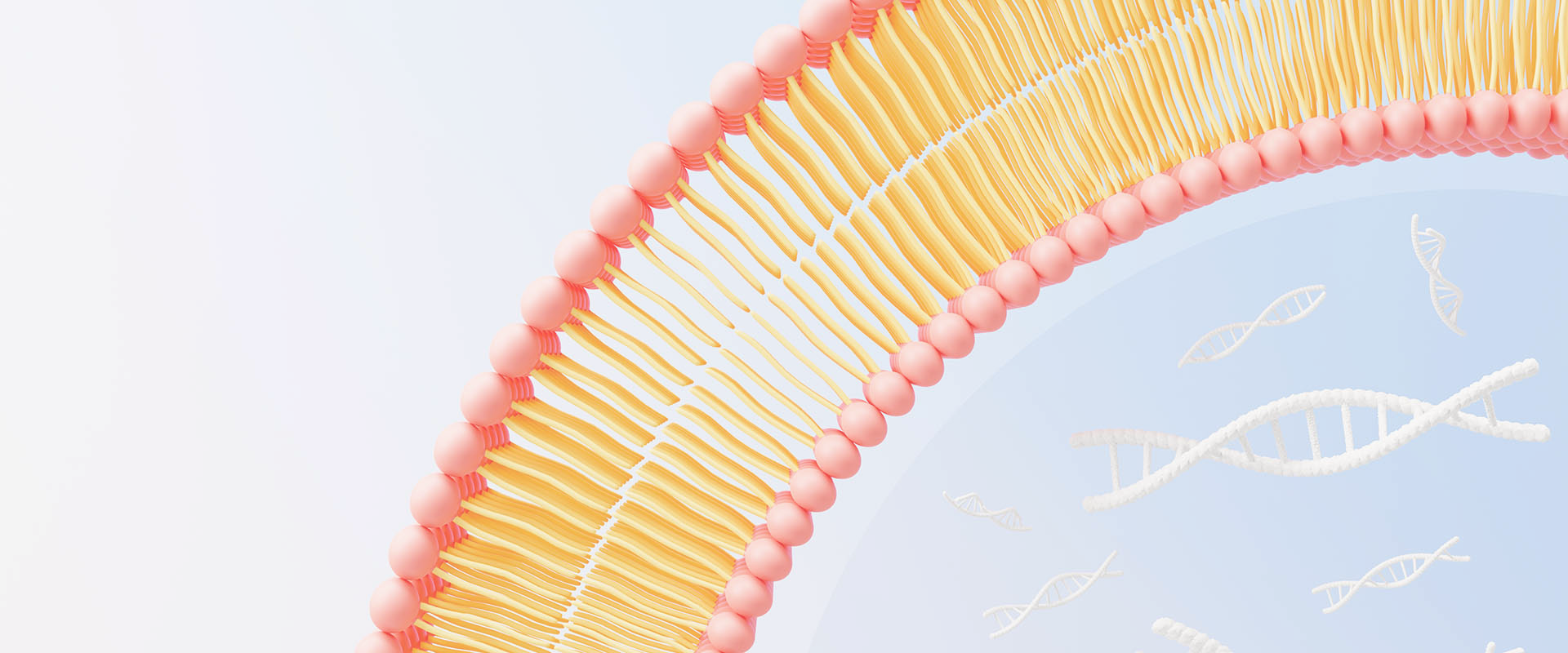 Qué son las vitaminas liposomales