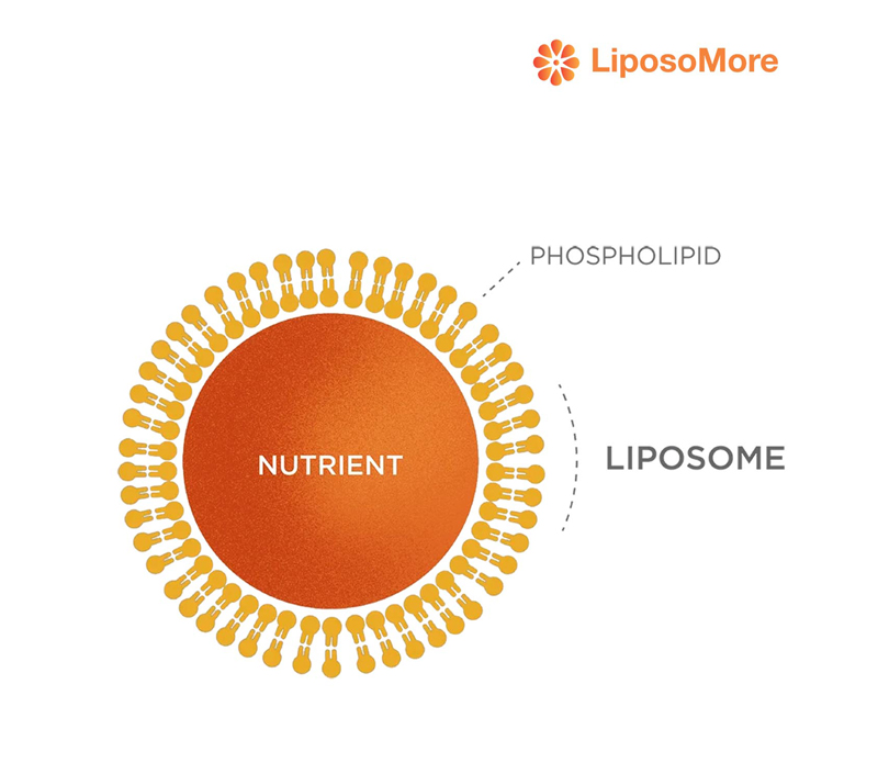 Estabilidad de ingredientes mejorada