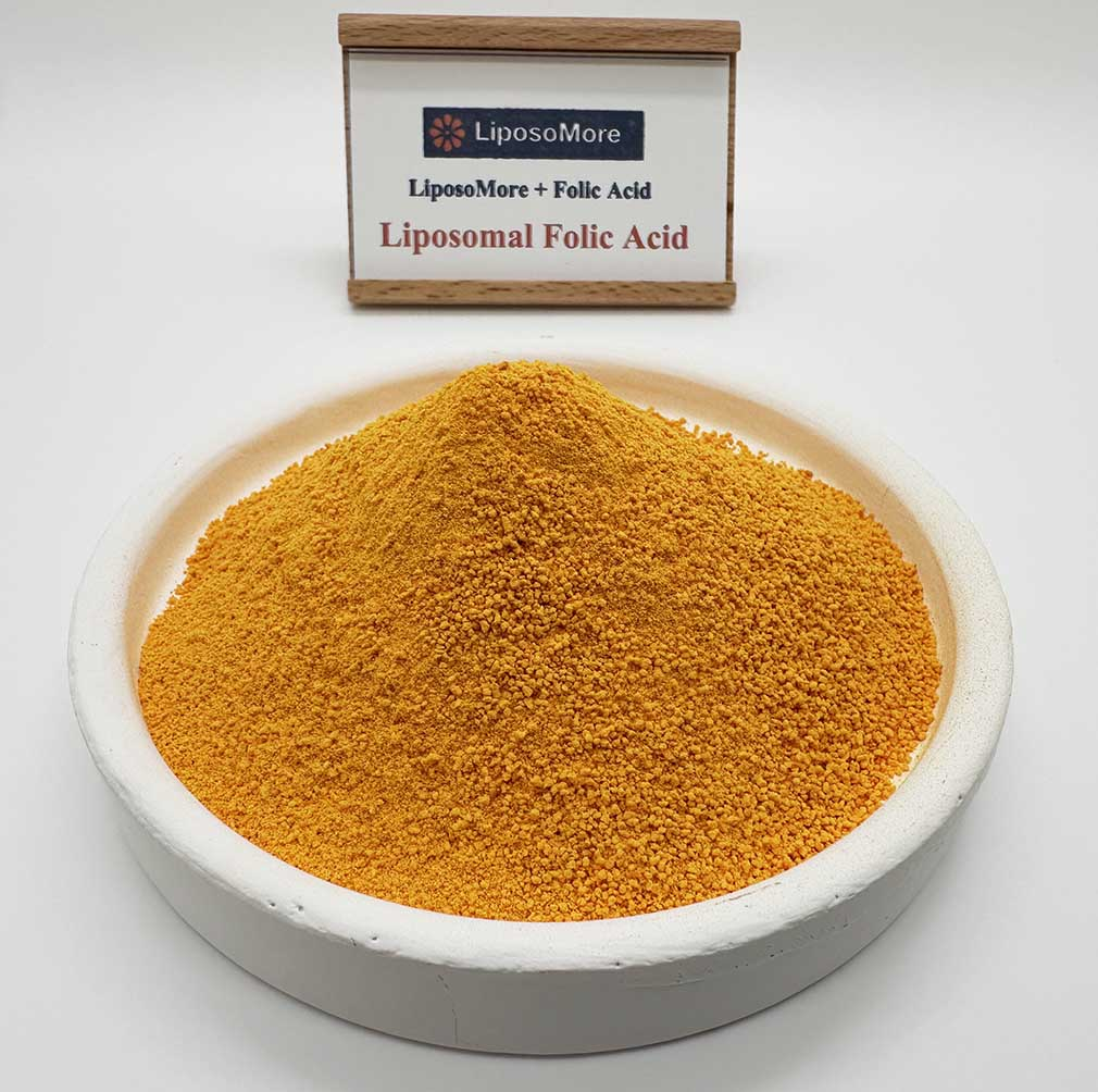 liposomal folic acid