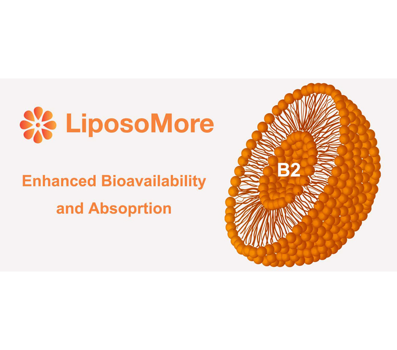 Biodisponibilidad mejorada y absorción