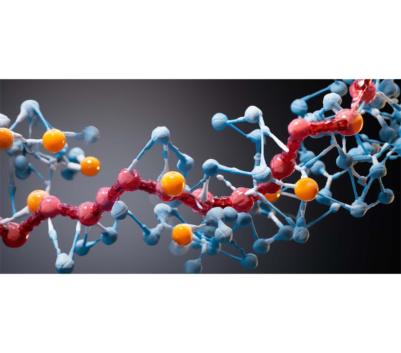 Mejora el metabolismo celular