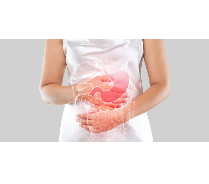 Suave en el sistema digestivo