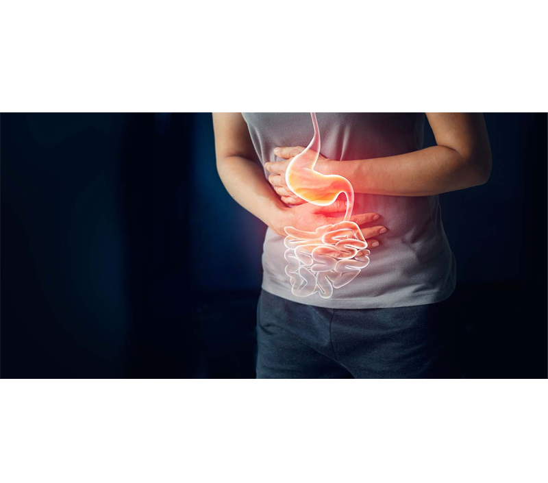 Suave en el sistema digestivo