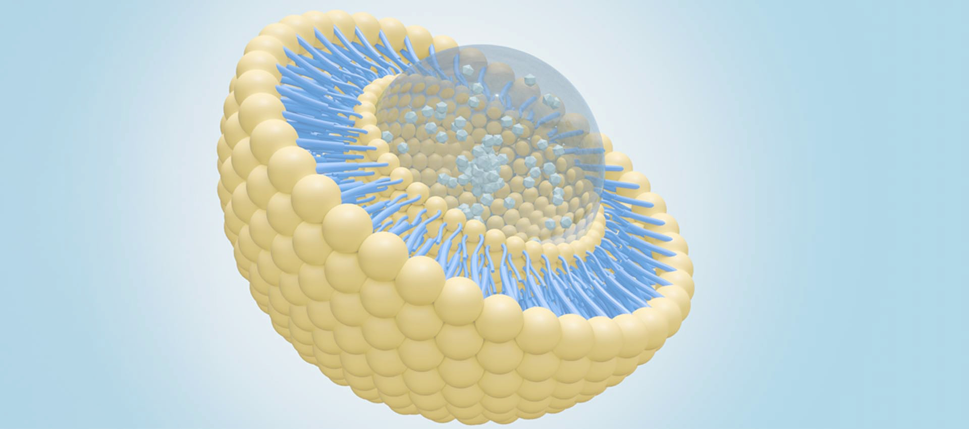 Ácido alfa liposomal lipoico
