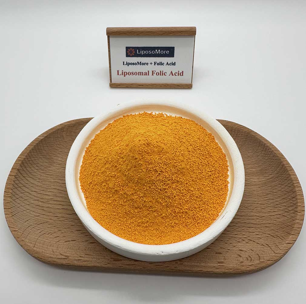 liposome folic acid