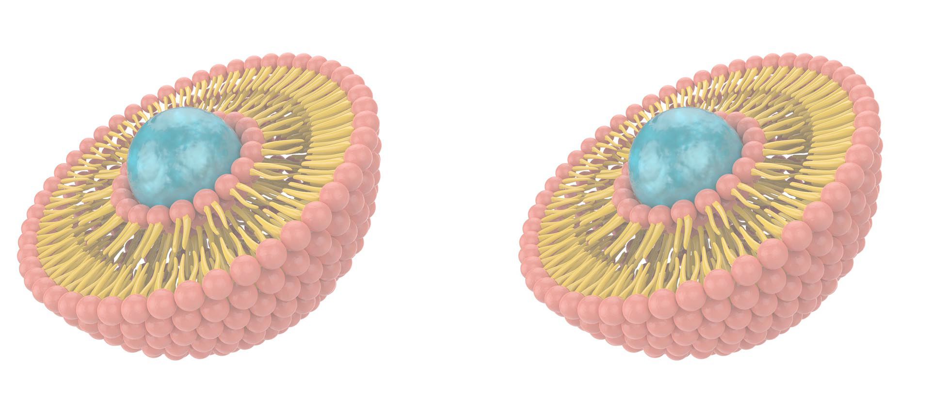 Complejo de vitamina B liposomal