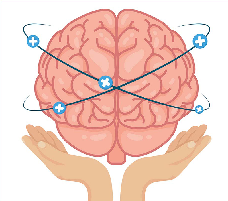 Beneficios cognitivos y neuroprotectores