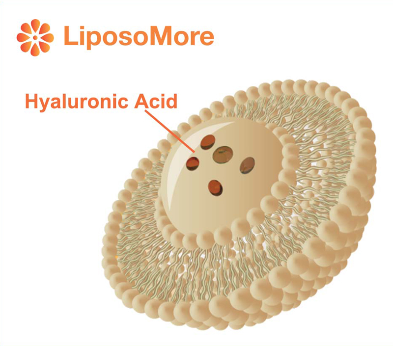 Absorción mejorada y biodisponibilidad