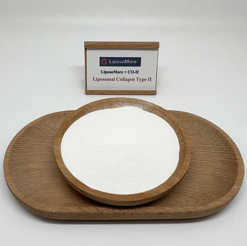 Liposomal Collagen type ii