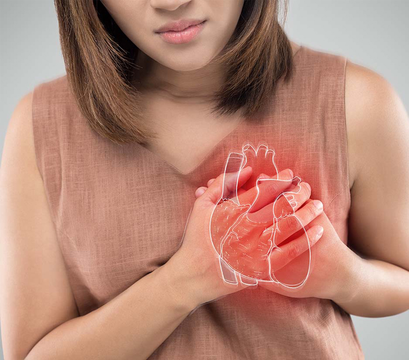 Protección cardiovascular y vascular