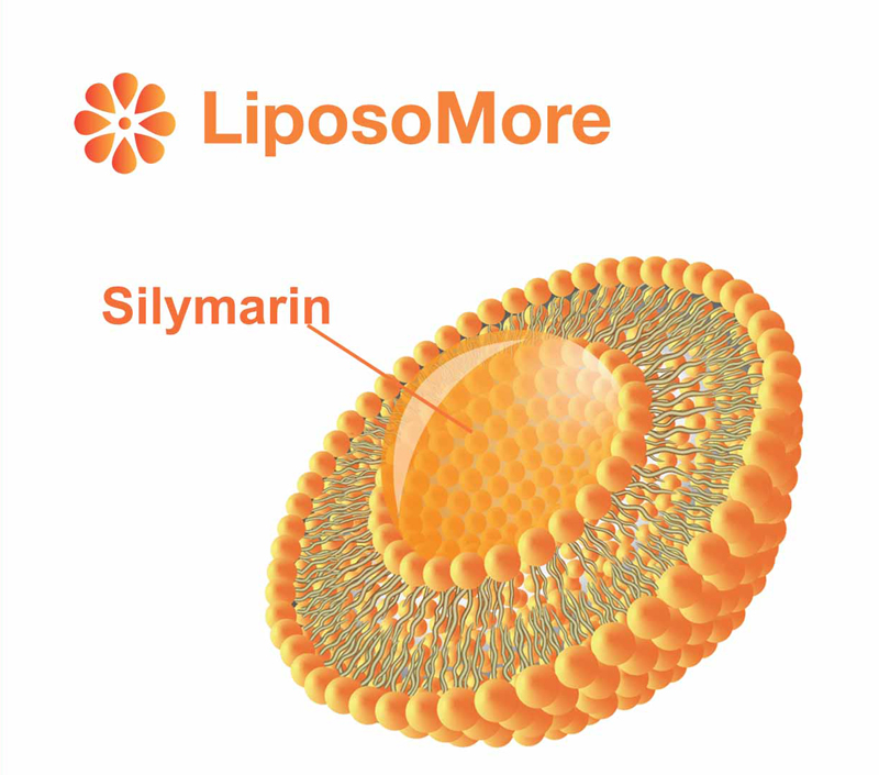 Biodisponibilidad mejorada y absorción celular