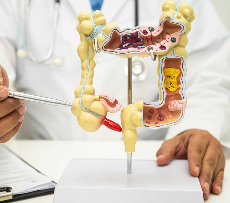 Ideal para bienestar metabólico y digestivo