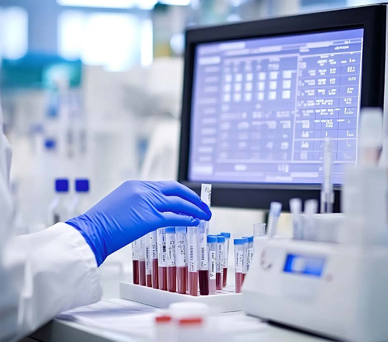 Biodisponibilidad de hierro en la recuperación de la anemia