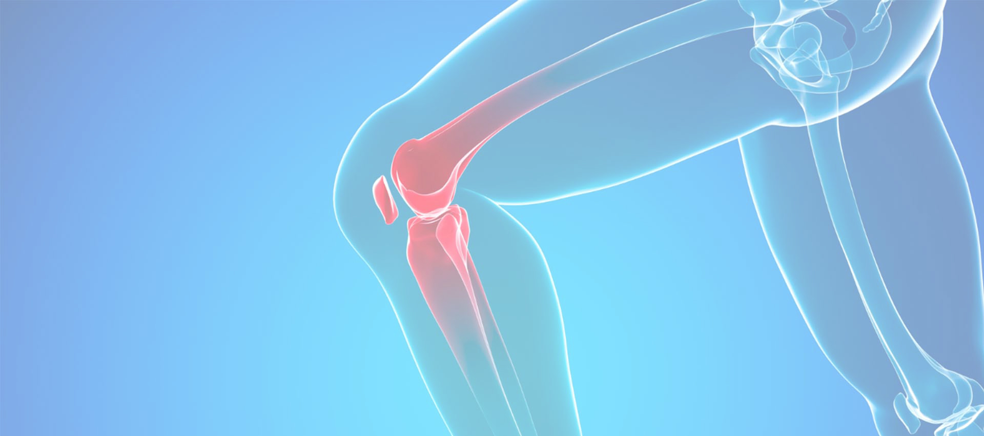 Colágeno liposomal tipo II