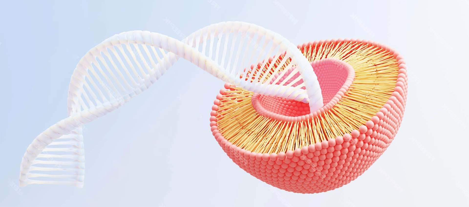 Pirofosfato férrico liposomal