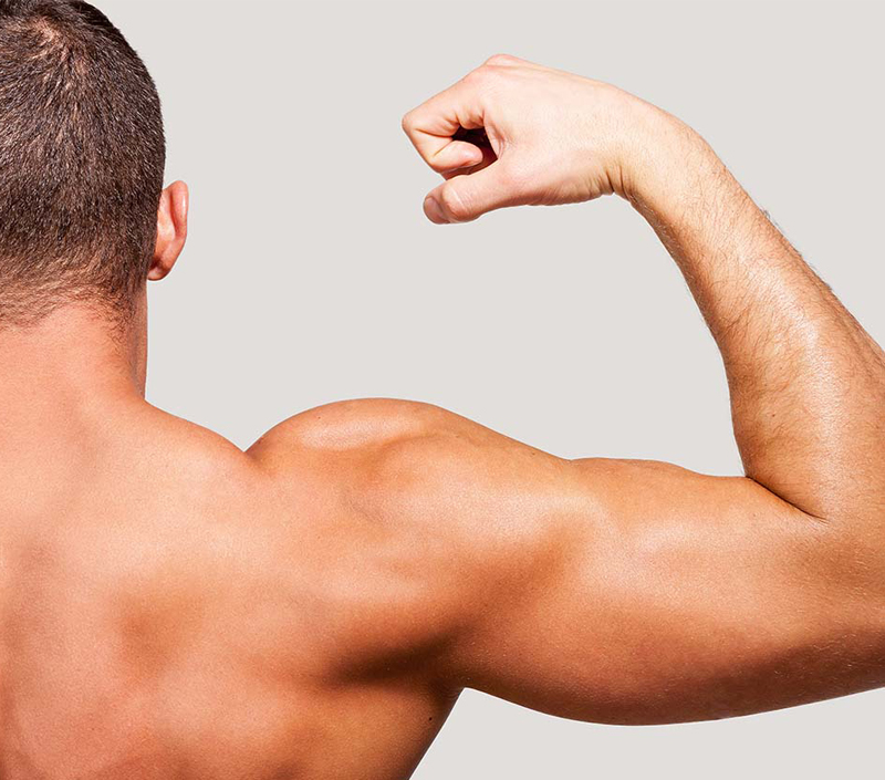 Apoya la función muscular y la recuperación física