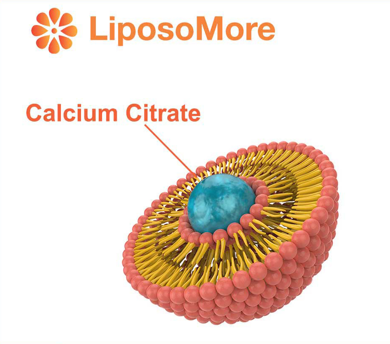 Biodisponibilidad superior a través de la entrega liposomal