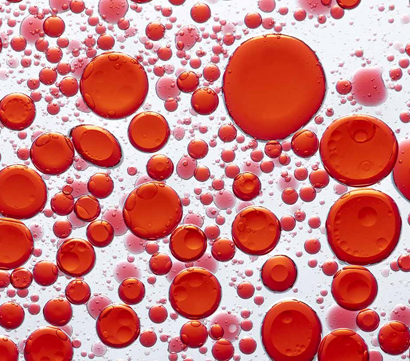 Apoya la formación de glóbulos rojos y el transporte de oxígeno