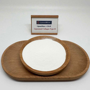 Colágeno liposomal tipo II