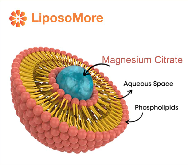 Minimiza los efectos secundarios gastrointestinales