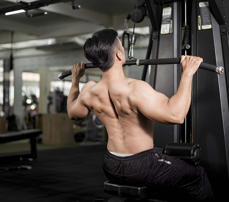 Apoya las funciones celulares y musculares