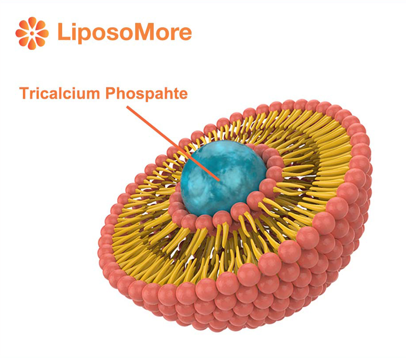 Absorción superior a través de la encapsulación liposomal