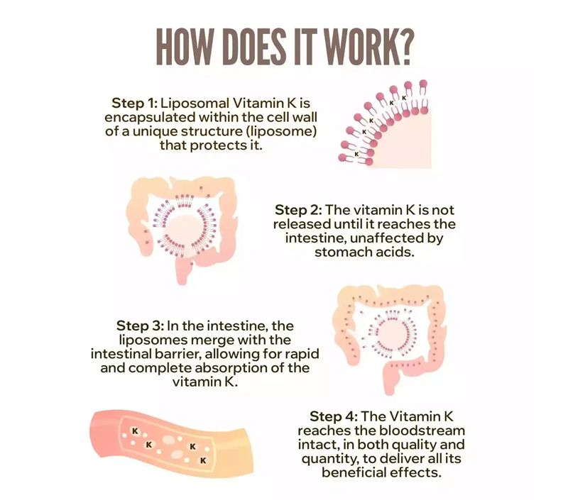 Biodisponibilidad superior para una mejor absorción