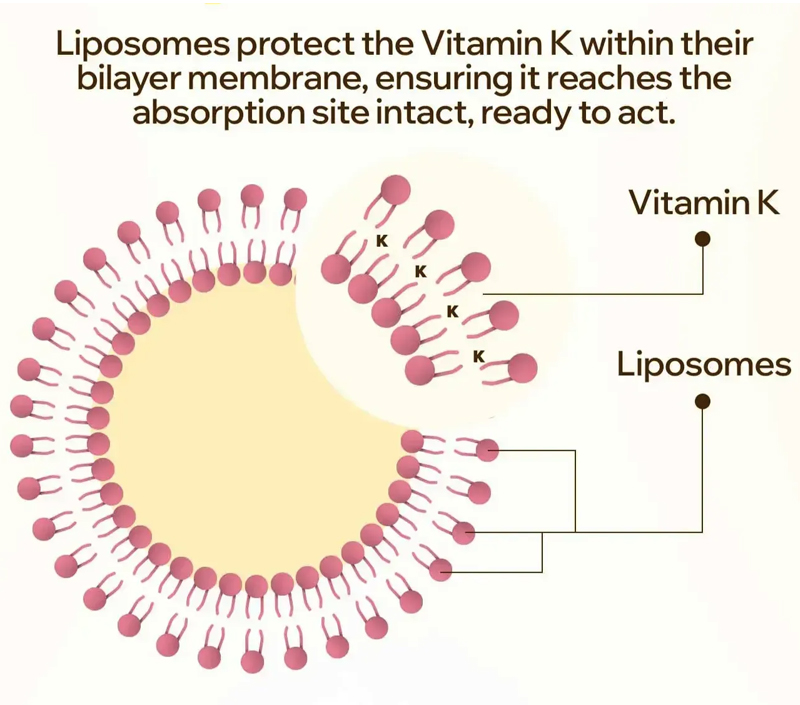 Entrega suave y objetivo