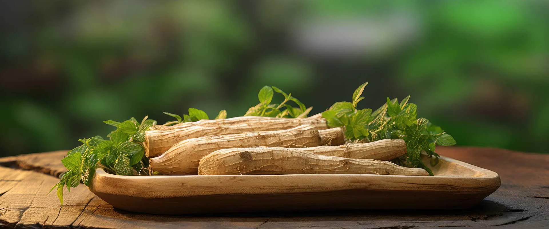 Características de Ashwagandha liposomal