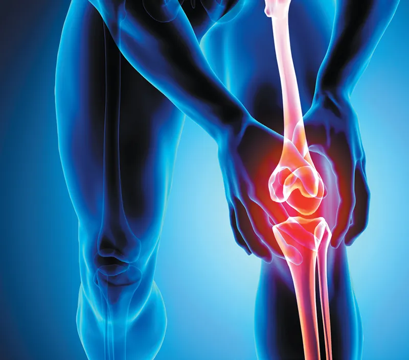 Comodidad conjunta efectiva y apoyo de movilidad