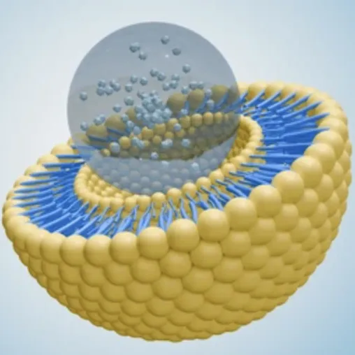 Microencapsulación vs tecnología liposomal: ¿cuál es mejor para los suplementos dietéticos?
